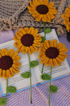 Sunflower - A ray of eternal sunshine
