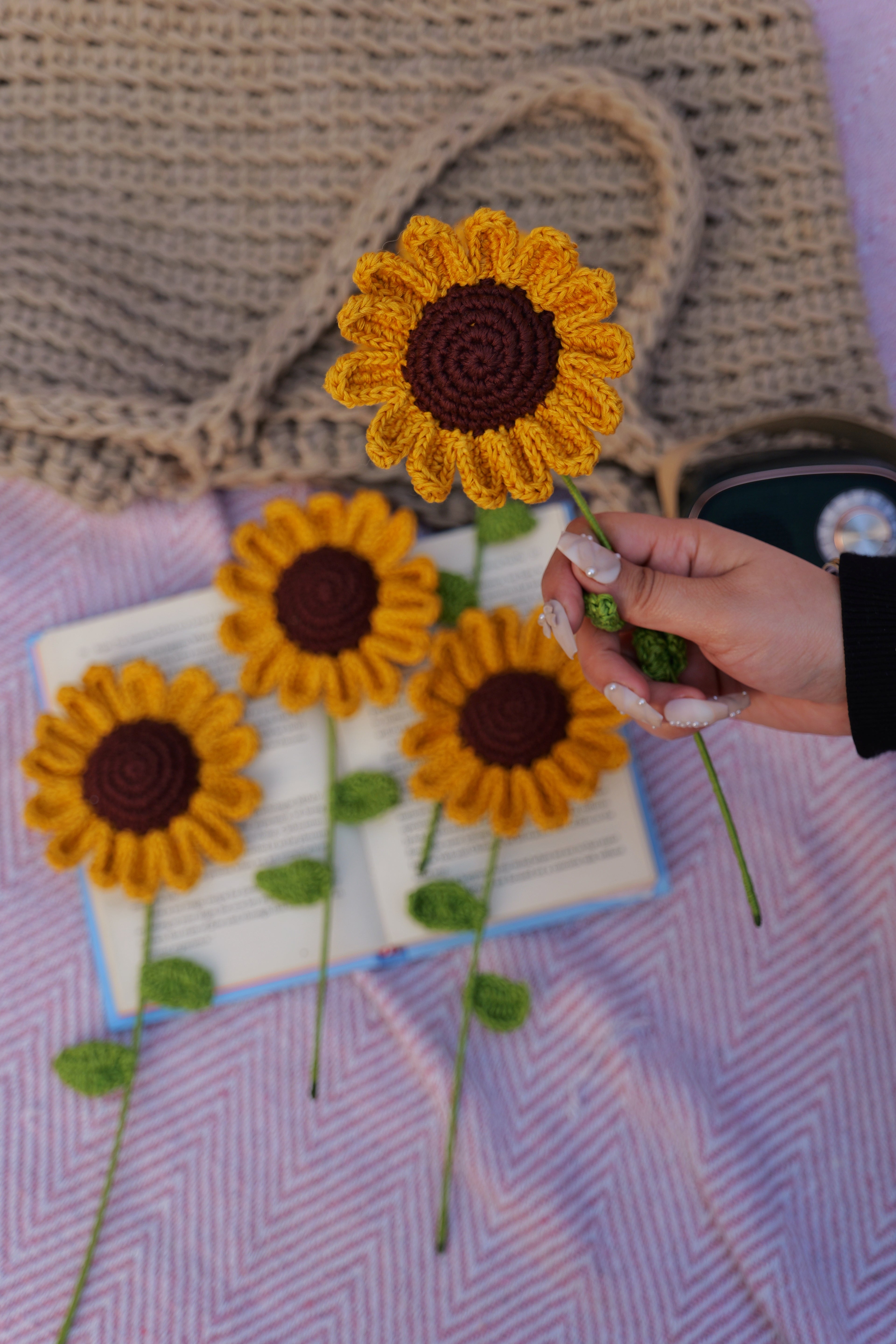 Sunflower - A ray of eternal sunshine