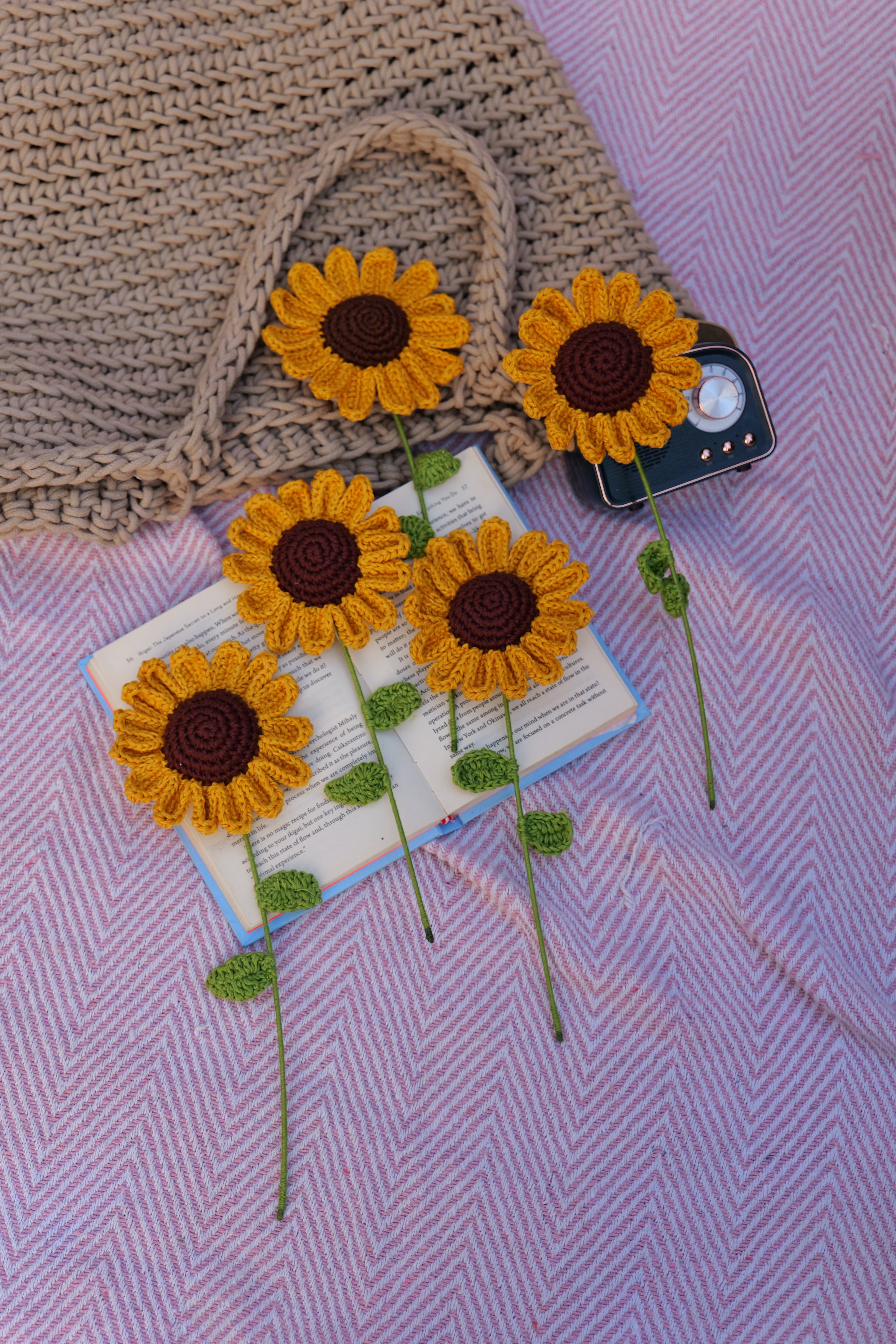 Sunflower - A ray of eternal sunshine