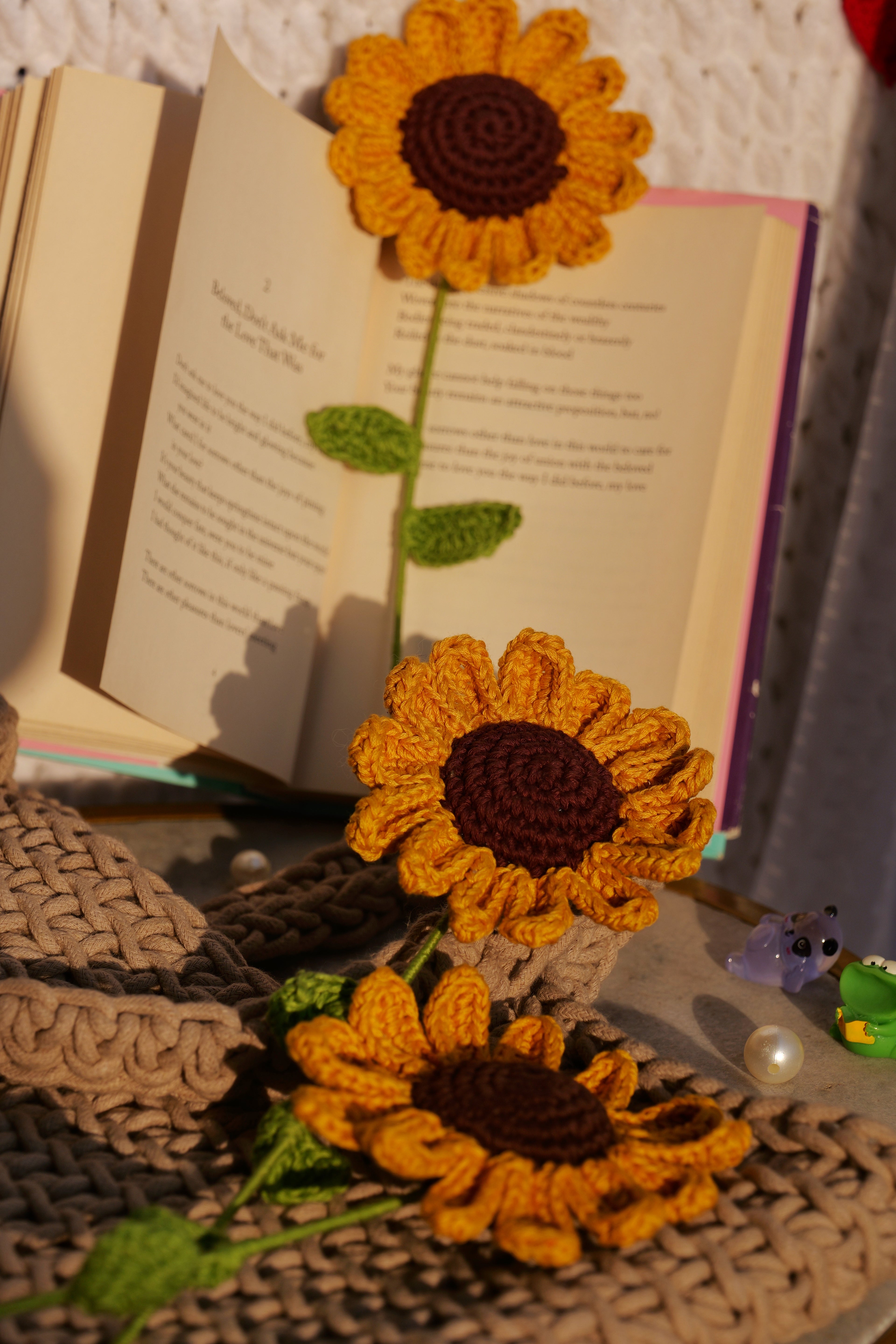 Sunflower - A ray of eternal sunshine