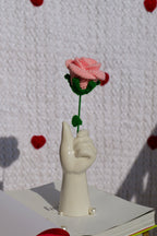 Pink Rose - A symbol of grace