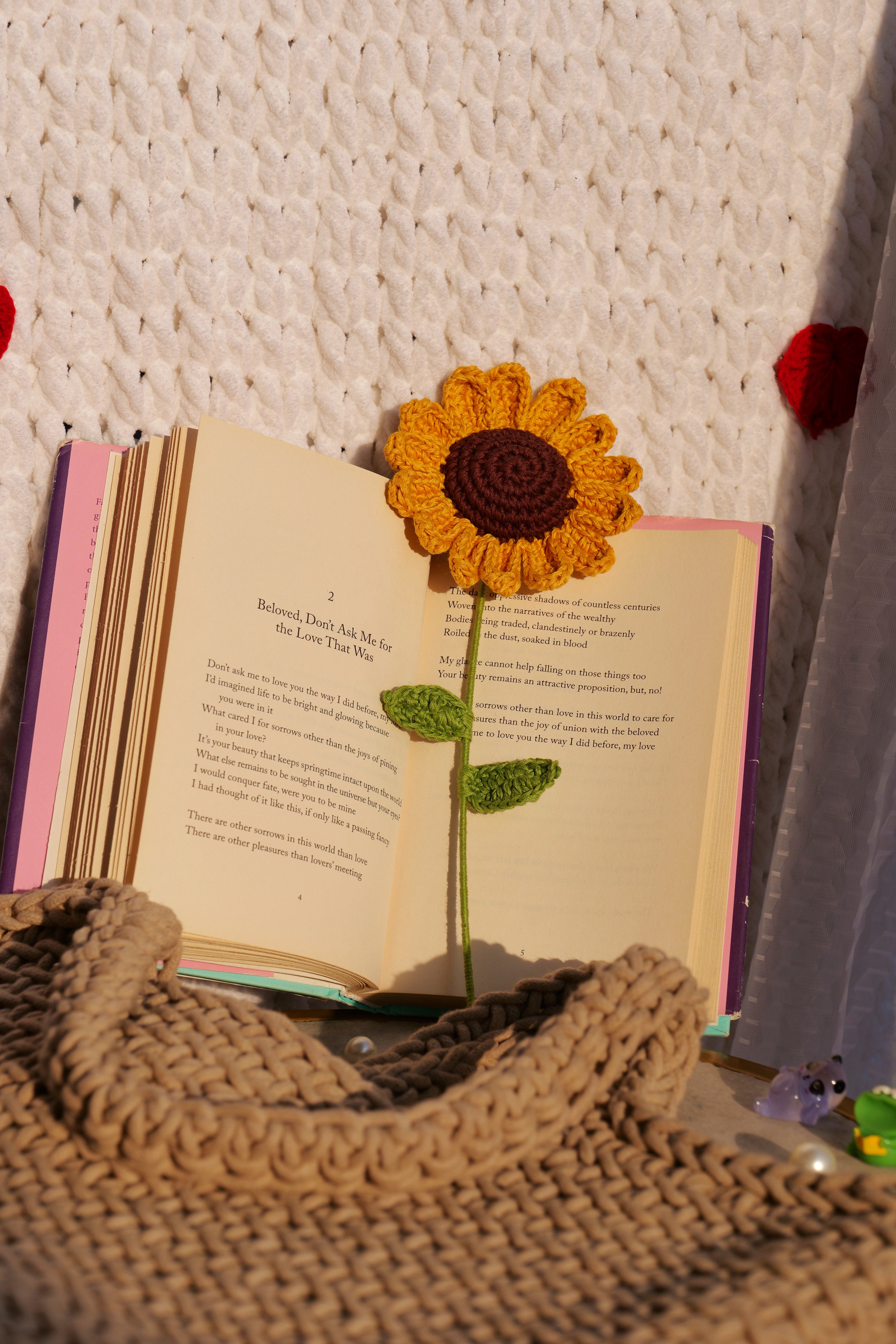 Sunflower - A ray of eternal sunshine