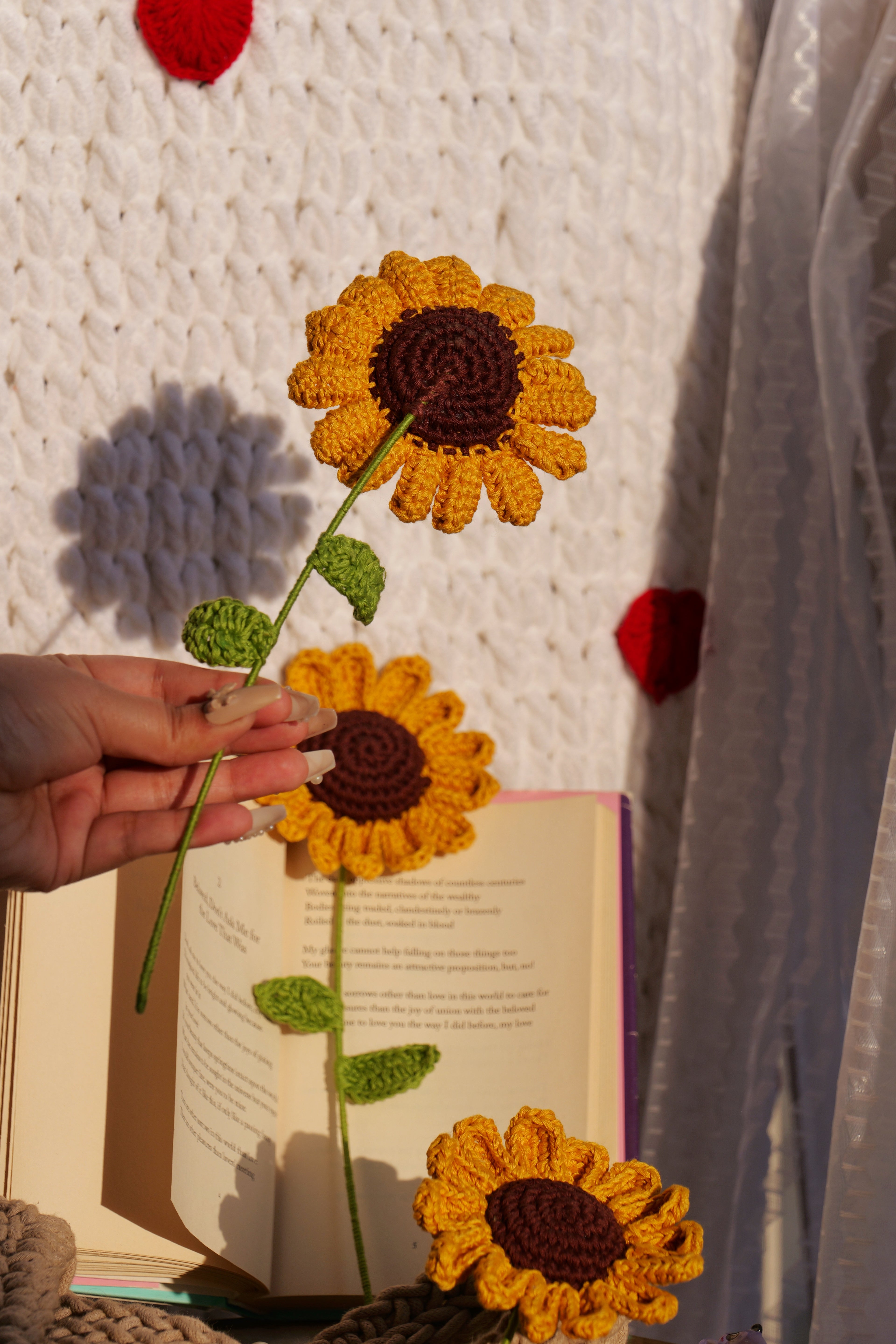 Sunflower - A ray of eternal sunshine