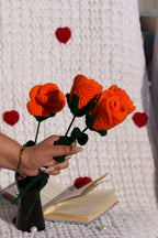 Orange rose - A flame of warmth