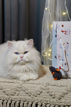 Catnip Mouse Toy – Handmade Crochet Mouse with Fur Tail