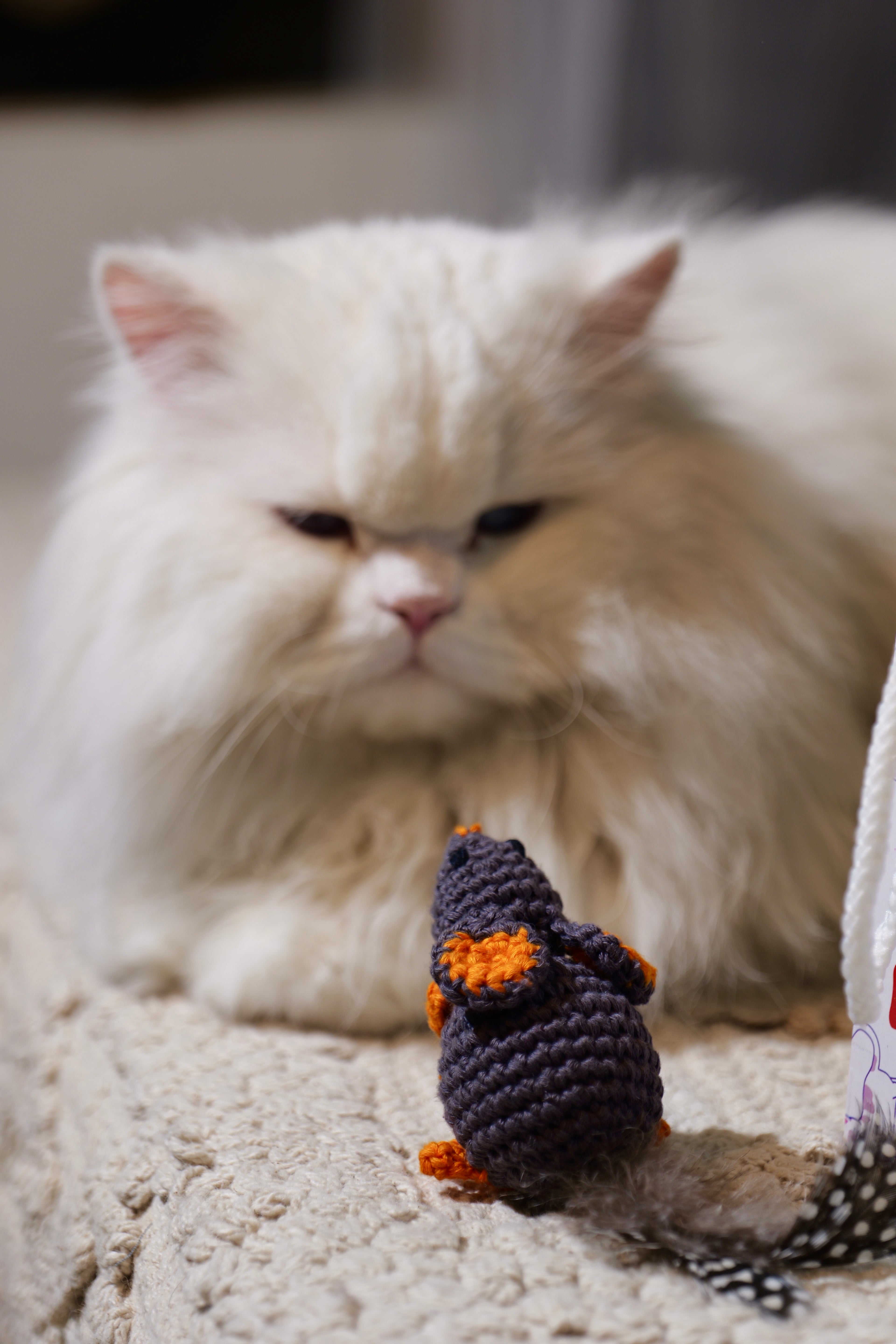 Catnip Mouse Toy – Handmade Crochet Mouse with Fur Tail
