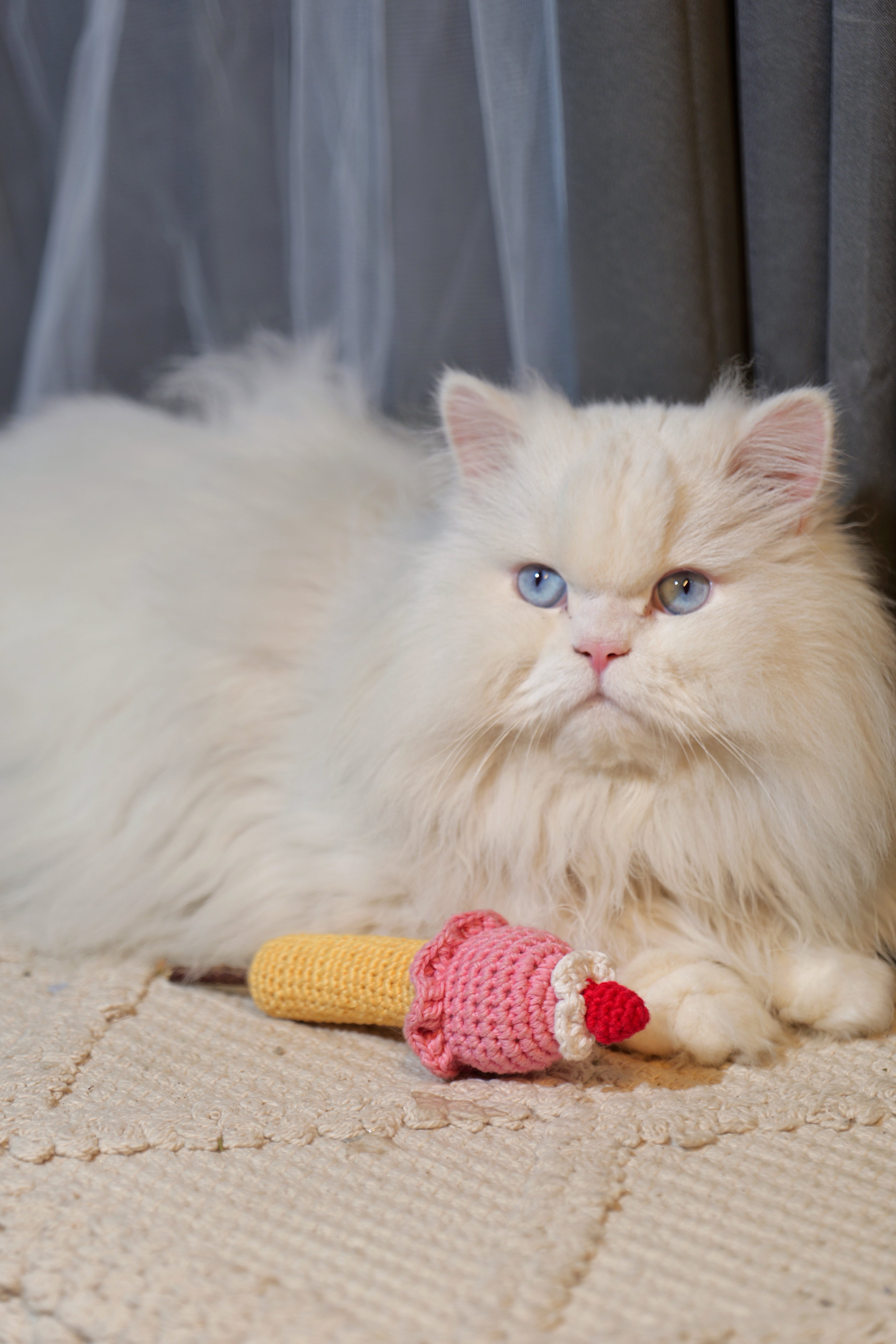 Catnip Ice Cream Toy – Crochet Ice cream Cone