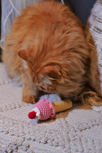 Catnip Ice Cream Toy – Crochet Ice cream Cone