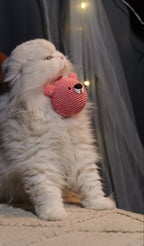 Foam Crochet Toy & Stress Ball – Bounce, Squeeze, Relax!