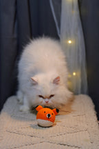 Fox Crochet Toy Ball – Bouncy, Fun & Handmade