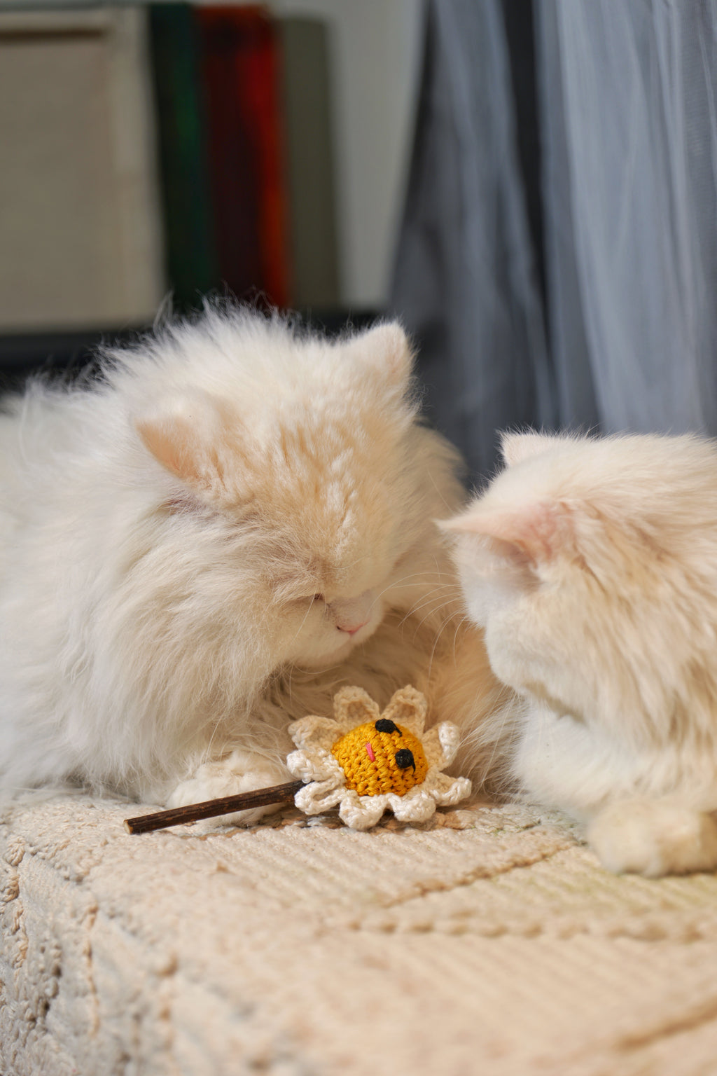 Catnip Flower Toy – Crochet Daisy for Cats