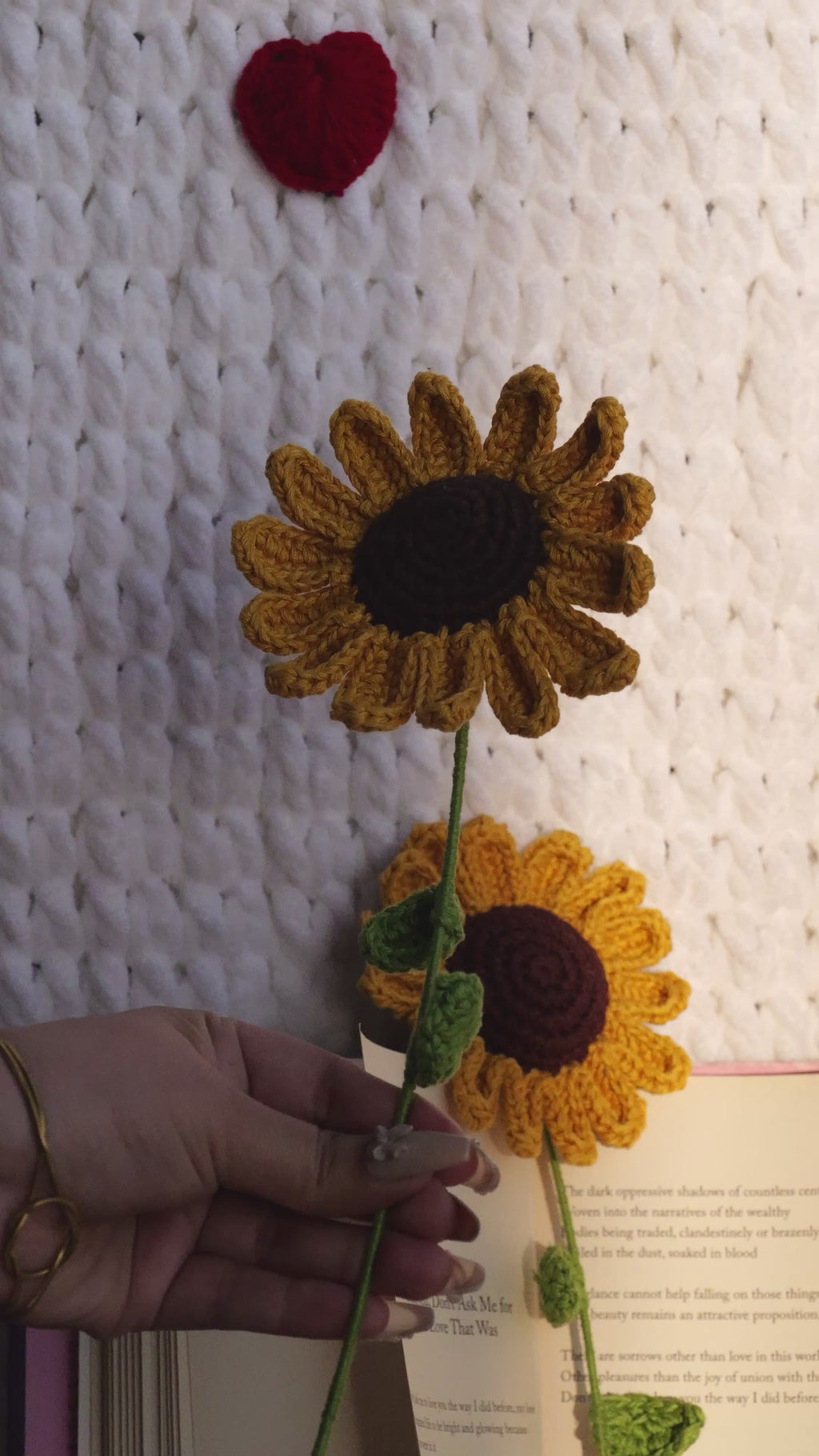 Sunflower - A ray of eternal sunshine